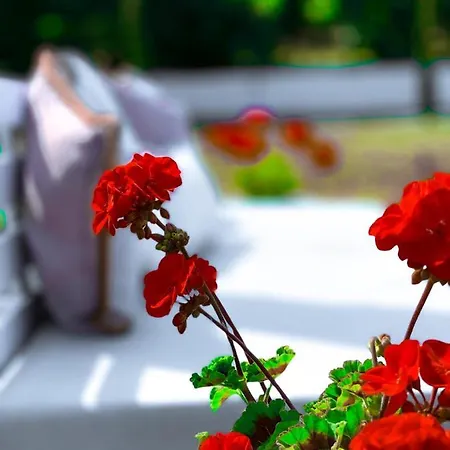 Lefki Guest house Polychrono