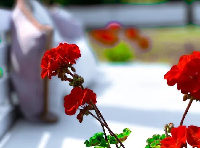 Lefki Pensjonat Polychrono