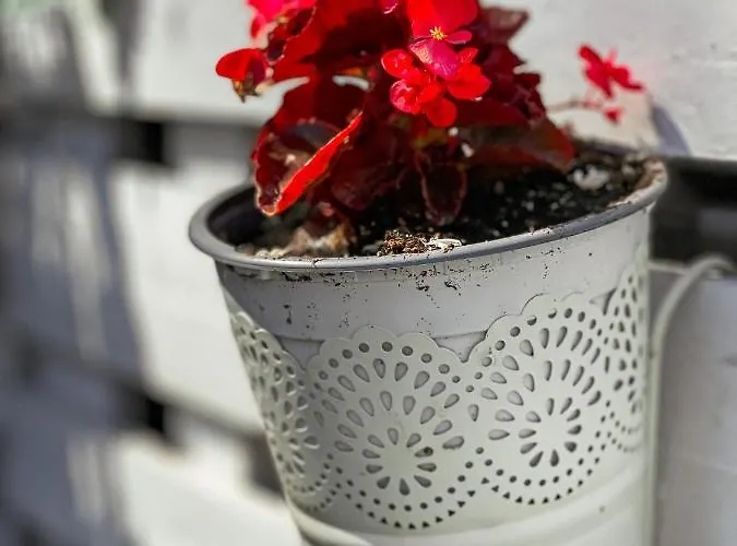 Pensjonat Lefki Polychrono