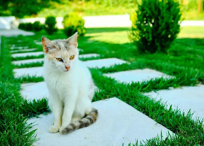 Lefki Pensjonat Polychrono