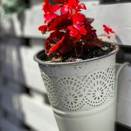 بيت ضيافة Lefki بوليخرونو