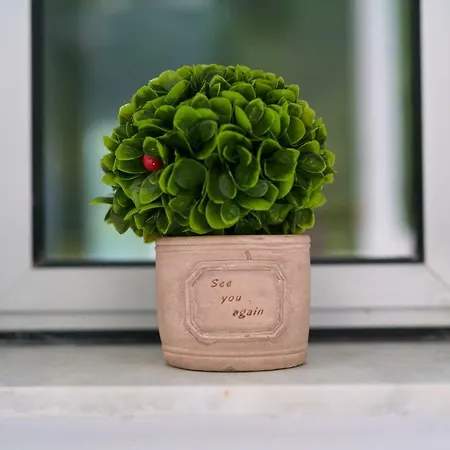 Lefki 3* بوليخرونو